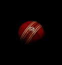 Cricket Ball